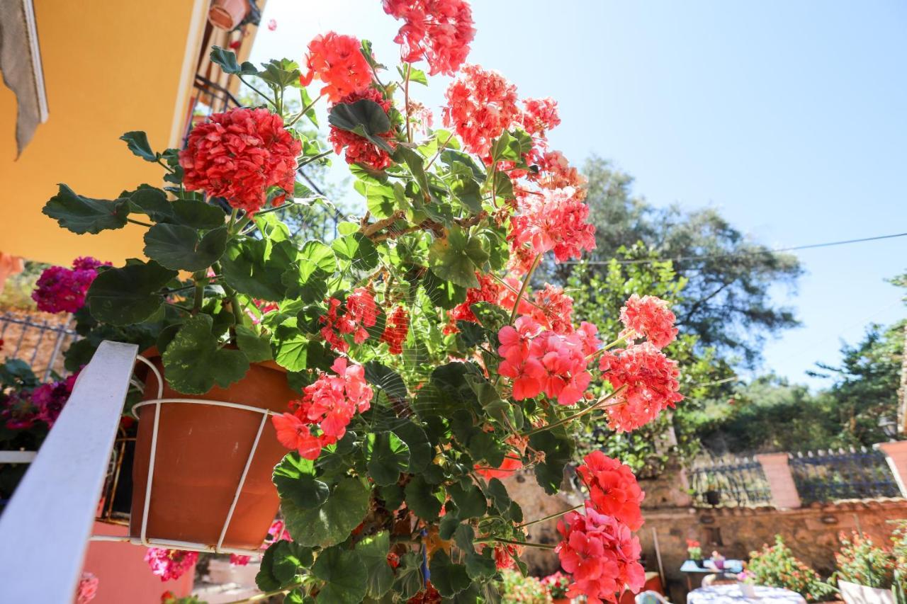 Alexis & Loula Village House Arkadades 外观 照片